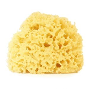 Cose della Natura – Arcipelago Sbiancata CORPO L – 10/12 gr