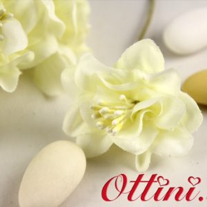 Fiore Panna con Pistilli