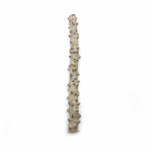 Whimar – Decor Eyes Wood misura Medium 30-40cm