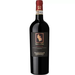 Taurasi DOCG "Pago dei Fusi" 2013 - Terredora Di Paolo